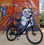 Bodywel City Electric Bike, 27.5" Removable Battery