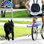 Hands-Free Dog Bike Leash with Buffer Spring