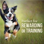 Merrick Power Bites Grain-Free Beef Dog Treats