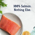 Stewart Freeze-Dried Wild Salmon Dog Treats 9.5oz