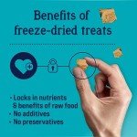 Stewart Freeze-Dried Wild Salmon Dog Treats 9.5oz