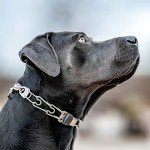 Herm Sprenger ClicLock Stainless Steel Dog Collar Buckle