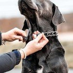 Herm Sprenger ClicLock Stainless Steel Dog Collar Buckle