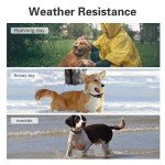 Rechargeable No Bark Training Collar for Dogs