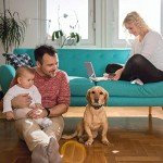 Rechargeable No Bark Training Collar for Dogs