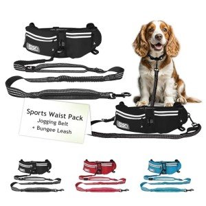 DOCO Heavy Duty Hands-Free Dog Leash Setup