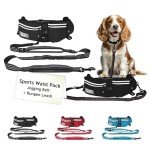 DOCO Heavy Duty Hands-Free Dog Leash Setup