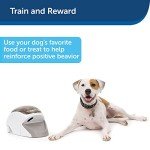 PetSafe Remote Dog Trainer with Treat Dispenser
