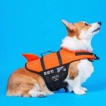 Service Dog Patches: Do Not Pet, Tactical Set