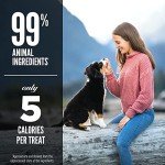 ORIJEN® Grain-Free Freeze-Dried Beef Dog Treats