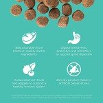 Go! Solutions Grain-Free Protein Dog Food, 22 lb