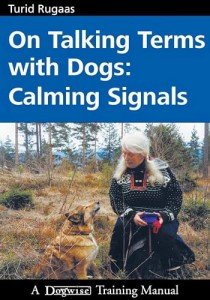 Understanding Dogs: Calm Signals Guide