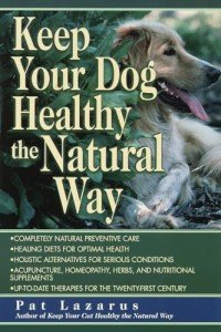 Natural Health Solutions for Your Dog