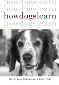 Understanding How Dogs Learn