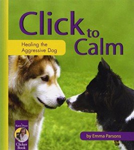 Calming Solutions for Aggressive Dogs