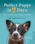 Start Your Puppy Off Right in 7 Days
