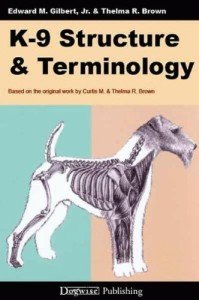 Dog Training Structure and Terminology Guide