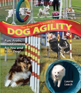 Dog Agility: A Beginner's Training Guide