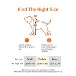 Soft-Sided Pet Carrier for Dogs and Cats