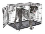 Double Door Dog Crate with Divider