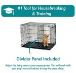 Double Door Dog Crate with Divider