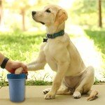 2 Pack Portable Dog Paw Cleaner – Blue