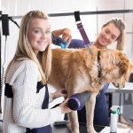 FURSDOLY Dog Grooming Arm Extension Straps - 2 Pcs