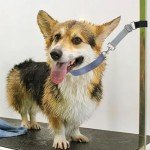 FURSDOLY Dog Grooming Arm Extension Straps - 2 Pcs