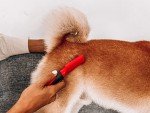 Tuff Pupper Dematting Brush for Dogs and Cats