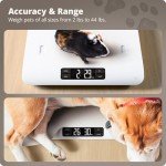 Accurate Digital Scale for Kittens, Puppies, and Rabbits