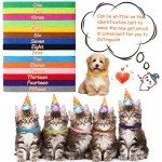 Colorful Adjustable Puppy Whelping Identification Collars