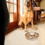 Stainless Steel Puppy Feeders