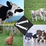 100pcs Disposable Umbilical Cord Clamps for Pets