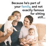 iProven Pet Thermometer - Fast & Accurate Readings