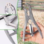 Tail Bander with 4 Ring Sizes