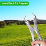 Tail Bander with 4 Ring Sizes