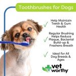 Vet Worthy Dog Toothbrushes for Healthy Teeth