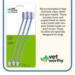 Vet Worthy Dog Toothbrushes for Healthy Teeth