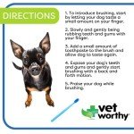 Vet Worthy Dog Toothbrushes for Healthy Teeth