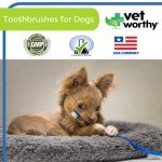 Vet Worthy Dog Toothbrushes for Healthy Teeth