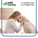 Vet Worthy Dog Toothbrushes for Healthy Teeth