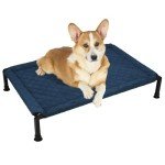 Cozy Elevated Dog Bed with Heavy Duty Frame