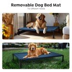 Cozy Elevated Dog Bed with Heavy Duty Frame