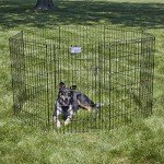 Dog Exercise Pen and Playpen, Black