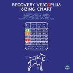 Calm Paws Recovery Vest with Detachable Collar