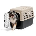 Petmate Vari Dog Kennel - Portable Crate for Pets 50-70 lbs - Airline-Friendly Pet Carrier - Durable Plastic Shell - For Home and Travel - Made in USA - 36 Inches - Taupe and Black