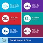 Petmate Vari Dog Kennel - Portable Crate for Pets 30-50 lbs - Airline-Friendly Pet Carrier - Durable Plastic Shell - For Home and Travel - Made in USA - 32 Inches - Taupe and Black