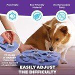 Outward Hound by Nina Ottosson Dog Hide N' Slide Treat Puzzle Enrichment Toy, Level 2 Intermediate, Purple, Composite