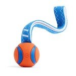 Chuckit Ultra Tug Dog Toy, Medium Fetch and Dog Ball Tug Toy for Dogs 20-60 Pounds