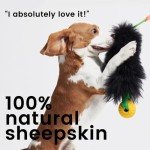 HOWGO Dog Rope Toy,Dog Bungee Chaser Toy 100% Sheepskin,Sheep Smell Tug Toy for All Breeds (Orange, Small)